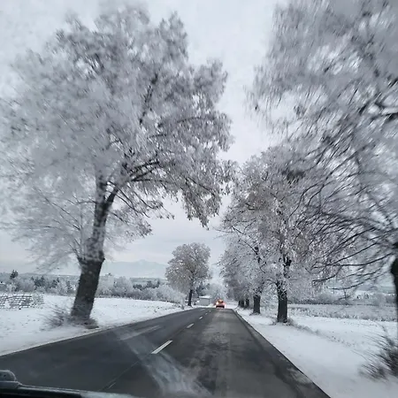 Daire Lily - Self Checkin - Parking - 40m2 *