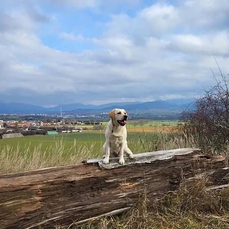Lily - Self Checkin - Parking - 40m2 מרטין