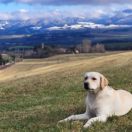 Lily - Self Checkin - Parking - 40m2 * Martin