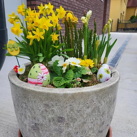 Lily - Self Checkin - Parking - 40m2