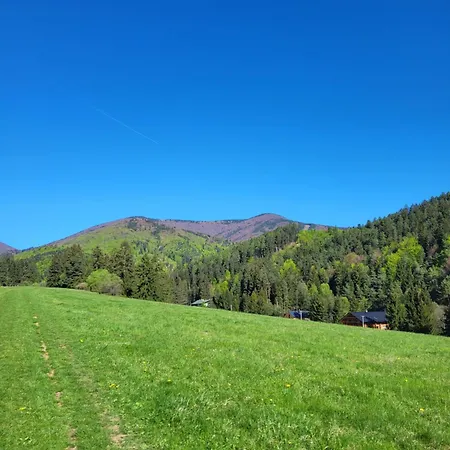 Daire Lily - Self Checkin - Parking - 40m2 Martin