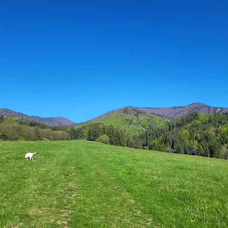 Lily - Self Checkin - Parking - 40m2 Daire Martin