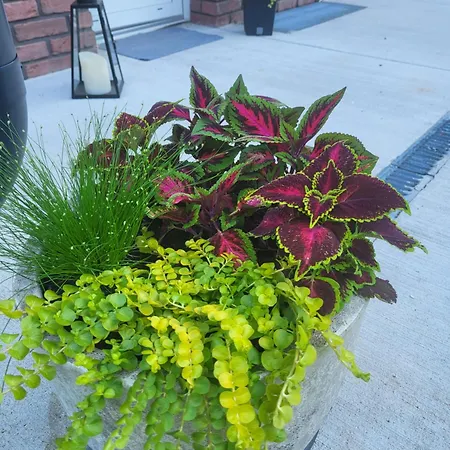 Апартаменты Lily - Self Checkin - Parking - 40m2