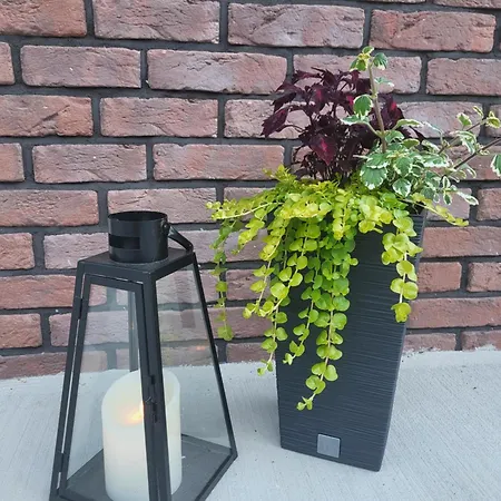 Lily - Self Checkin - Parking - 40m2 * Мартин