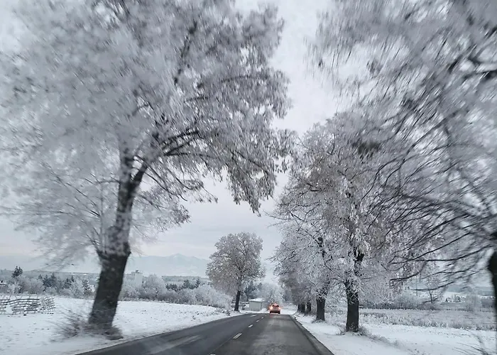 Apartamento Lily - Self Checkin - Parking - 40m2 *