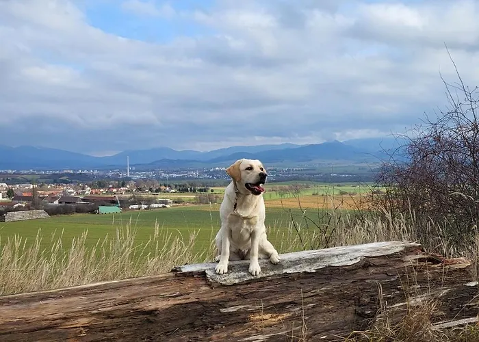 Lily - Self Checkin - Parking - 40m2 Martin