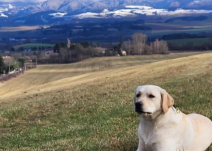 Lily - Self Checkin - Parking - 40m2 * Martin