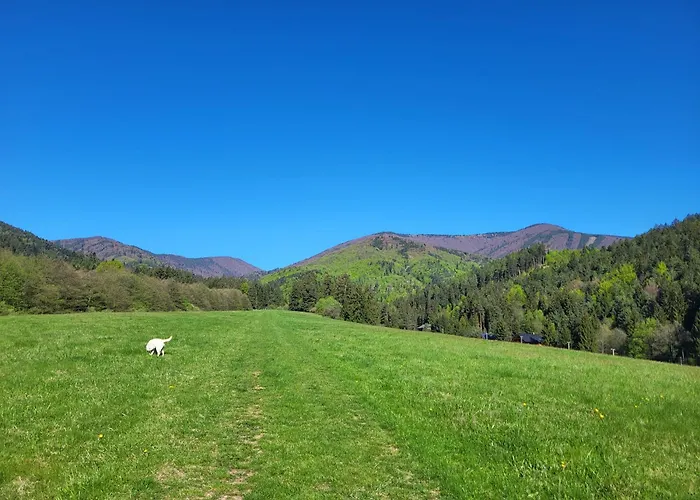 Lily - Self Checkin - Parking - 40m2 Apartamento Martin