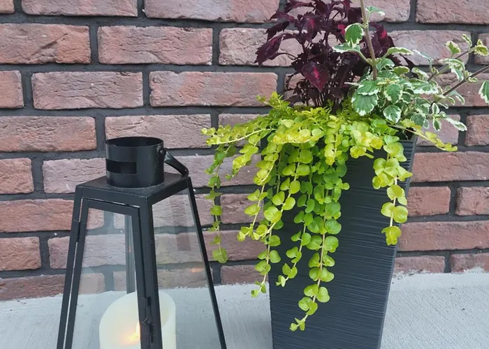 Lily - Self Checkin - Parking - 40m2 * Martin